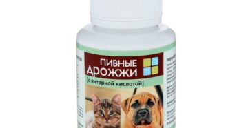 Пивные дрожжи с янтарной кислотой для орхидей Пивные дрожжи с янтарной кислотой для орхидей