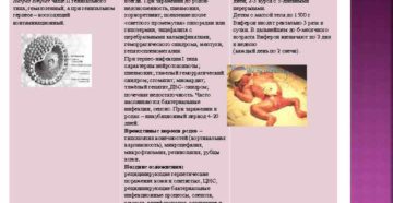 Герпес 7 недели беременности Герпес 7 недели беременности