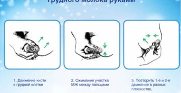 Как сцеживаться правильно руками?