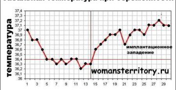 Температура 9 неделе беременности 37 1