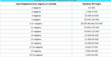 Норма хгч 11 неделе беременности