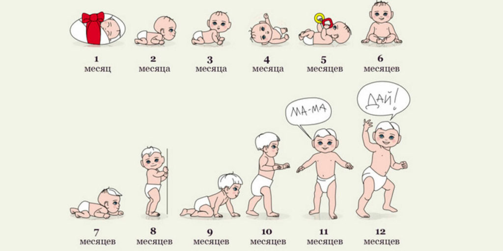 Развитие ребенка с года по месяцам