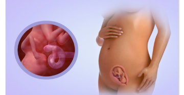 Ощущения на 12 недели беременности Ощущения на 12 недели беременности