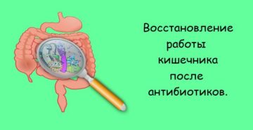 Как восстановить кишечник ребенку после антибиотиков?