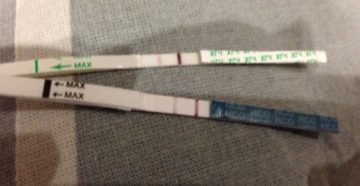 Беременность 2 3 недели болит живот