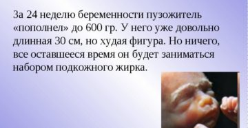 24 недели беременности ощущения 24 недели беременности ощущения
